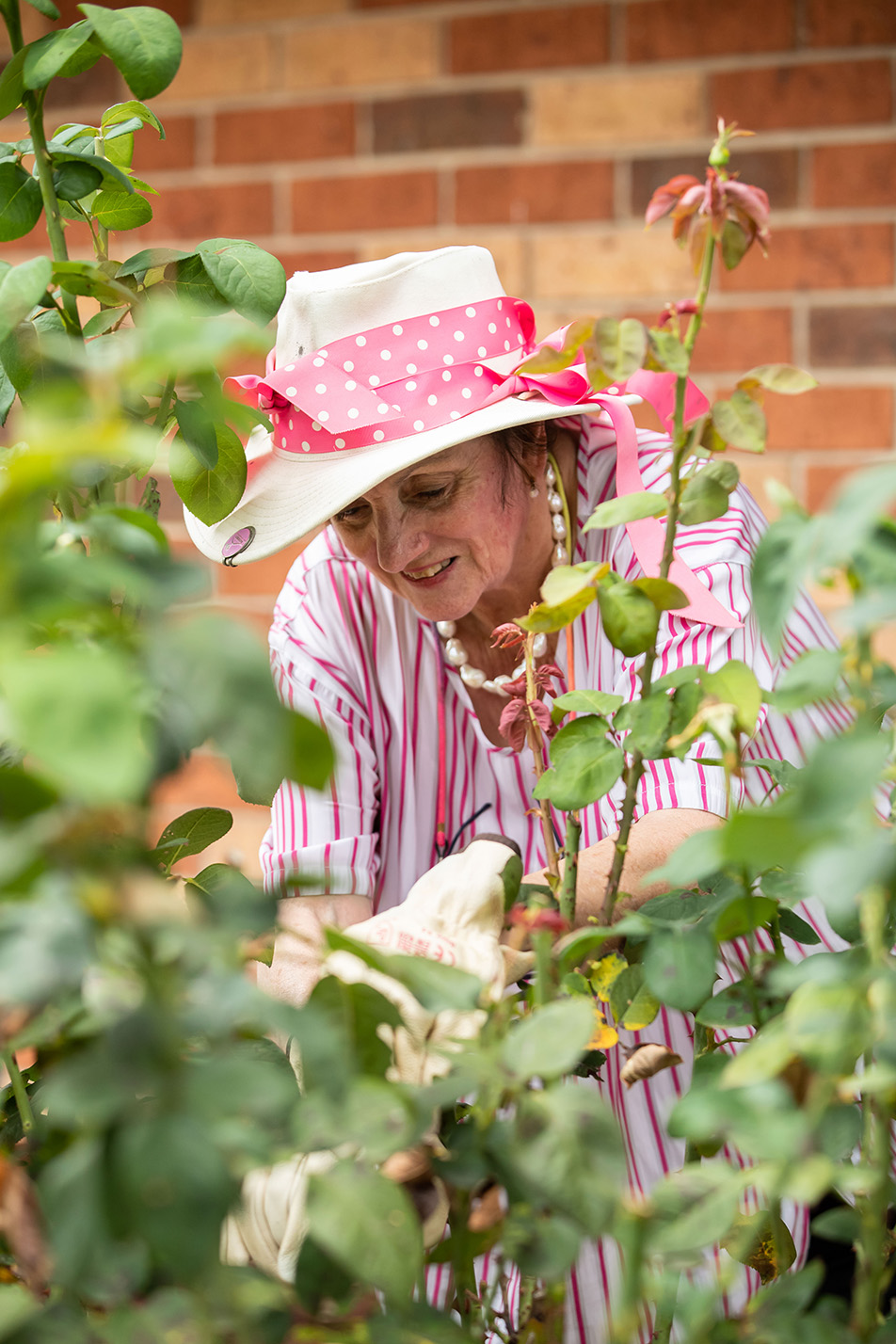 Older adult Cheryl wears a pink hat and pink top as she works in her garden, surrounded by green plants