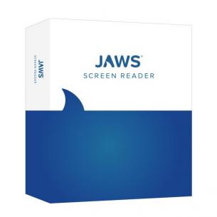 Jaws Screen Reader