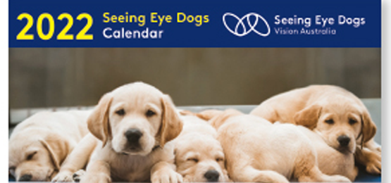 Front cover of Seeing Eye Dogs Calendar 2022 Vision Australia - image of 4 young Labrador puppies lying next to each other