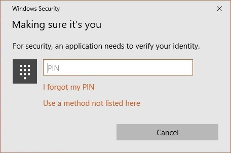 Figure 10: Windows Security asking for the PIN you use to unlock your device to proceed with a login form.