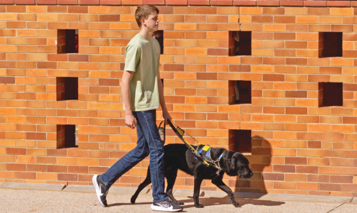 Seeing Eye Dogs client Sidney walks his SED Quarry