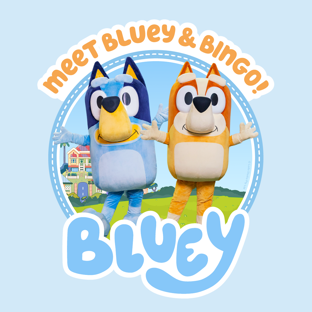Text: Meet Bluey and Bingo!