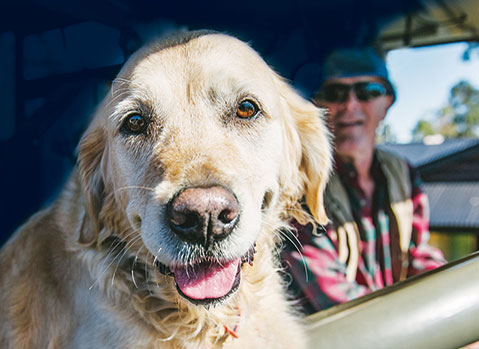 John and Seeing Eye Dog Seeing Eye Dog Zahra sitting in car seat and John in the background