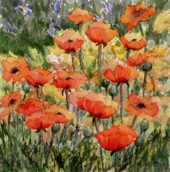 Poppies by Stella Stephenson The artwork 'Poppies' by Stella Stephenson